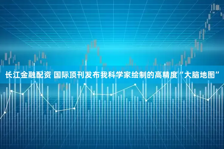 长江金融配资 国际顶刊发布我科学家绘制的高精度“大脑地图”