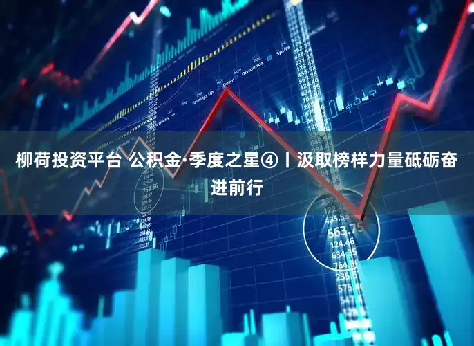 柳荷投资平台 公积金·季度之星④丨汲取榜样力量砥砺奋进前行