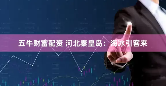 五牛财富配资 河北秦皇岛：海冰引客来